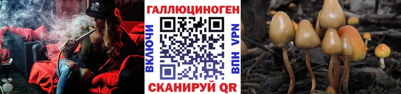 Купить закладки  Пушкино  Псилоцибиновые грибы ЛСД 